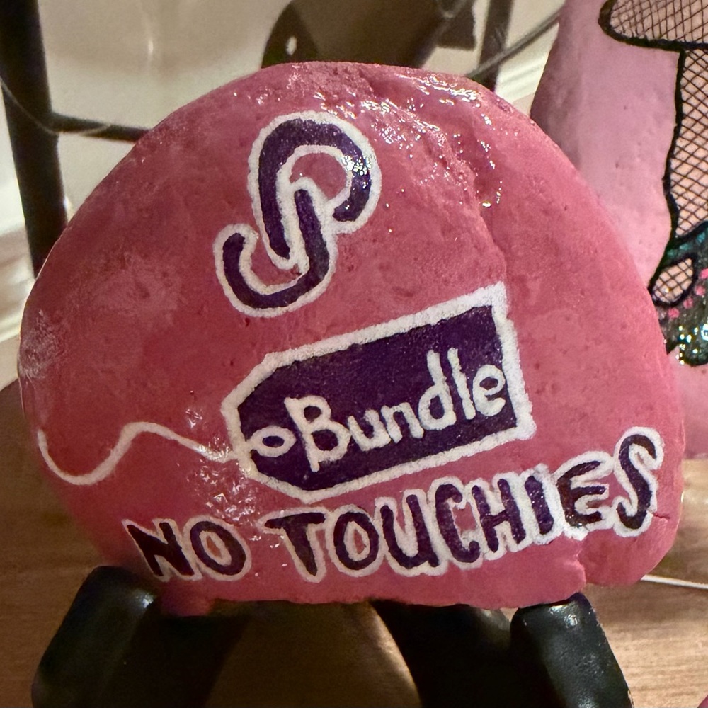 hand painted rock in Poshmark “No Touchies" theme